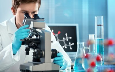 How and Where You Should Pursue the Best Biomedical Science Degree