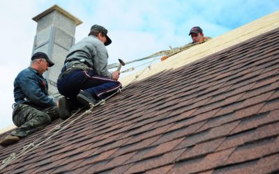 Building Trust and Reliability: Why Roofers in Norfolk, VA, Are Your Ultimate Choice for Home Improvement